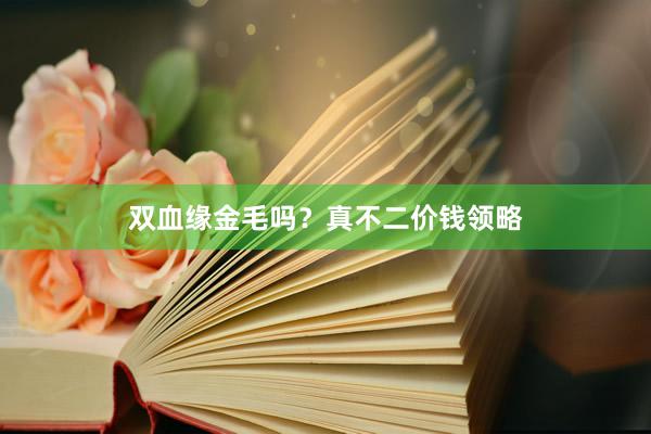 双血缘金毛吗？真不二价钱领略