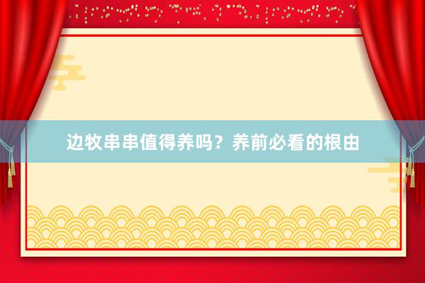 边牧串串值得养吗？养前必看的根由