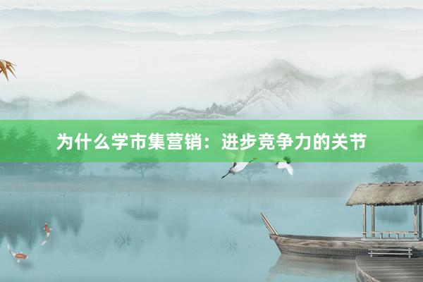 为什么学市集营销：进步竞争力的关节